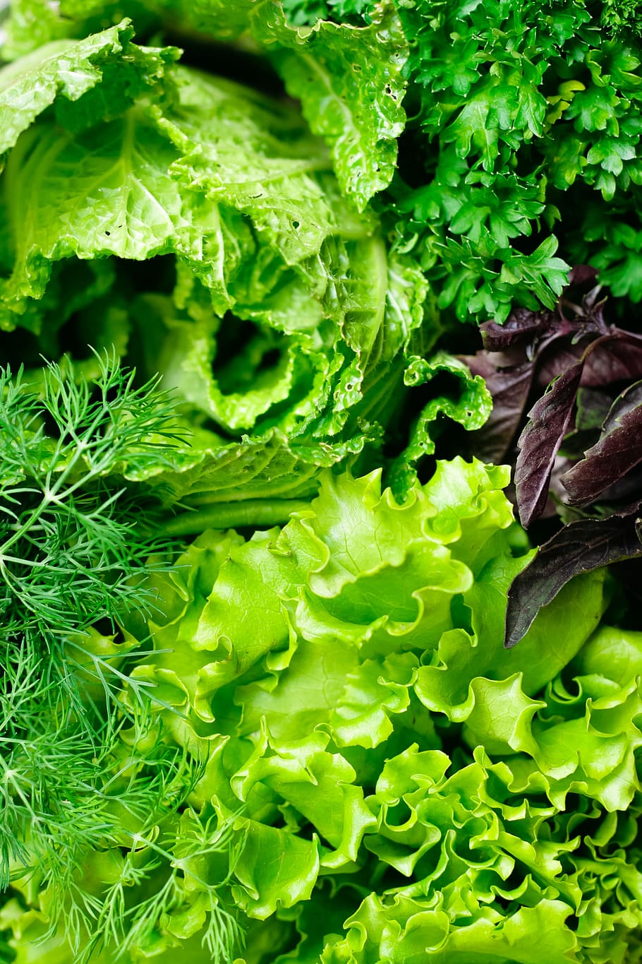 closeup, diet, food, fresh, greens, health, healthy, herbs, hold, ingredient