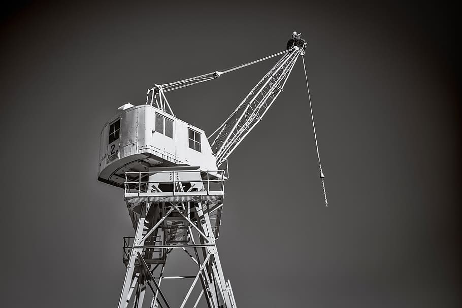 crane, tower, bird, industry, shipyard, technology, urban, cranes, architecture, low angle view