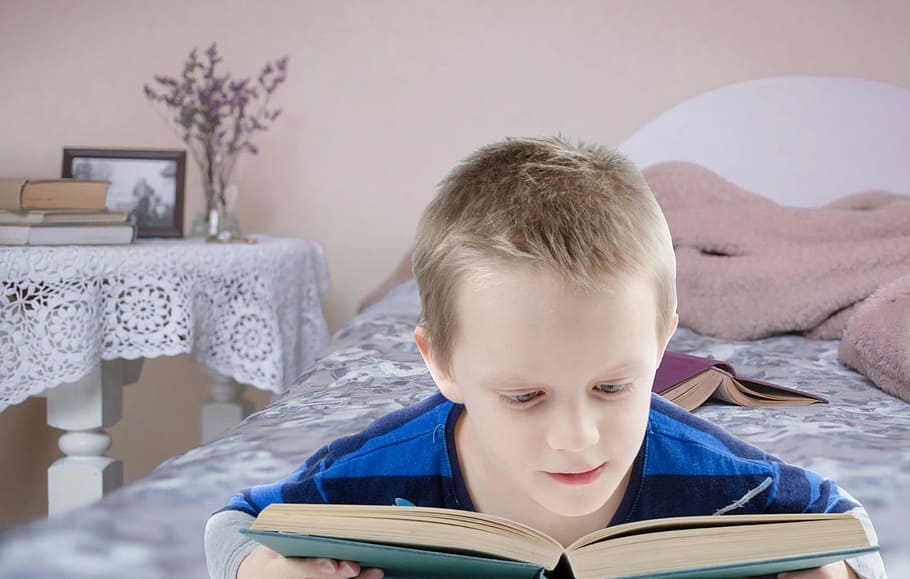 menino lendo, livro, quarto., crianças lendo, leia, menino, criança, estudante, pense, teste
