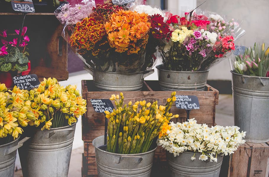flor, loja, barraca, arranjo, floração, buquê, balde, decoração, flora, vaso de flores