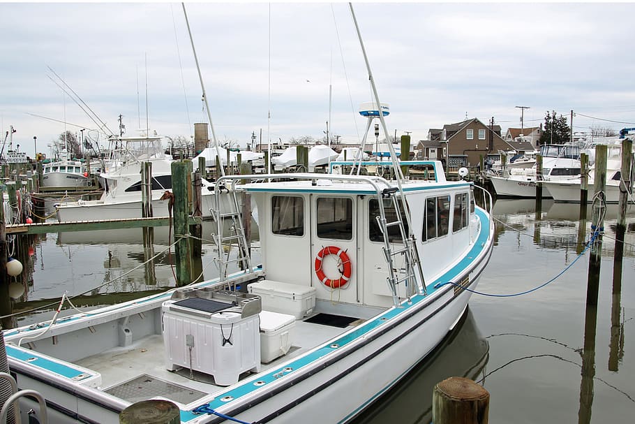 small, fishing boat, moored, dock, point, pleasant, new, jersey., fishing charters, charter fishing