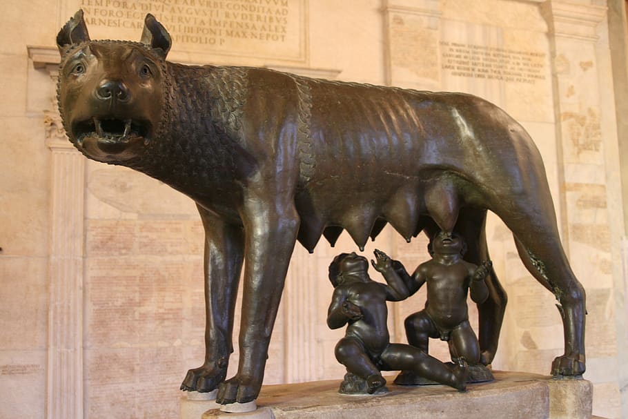 patung perunggu, capitoline she-wolf, Romulus, remus, pendiri kota, historis, mitologi, Italia, legenda, tengara