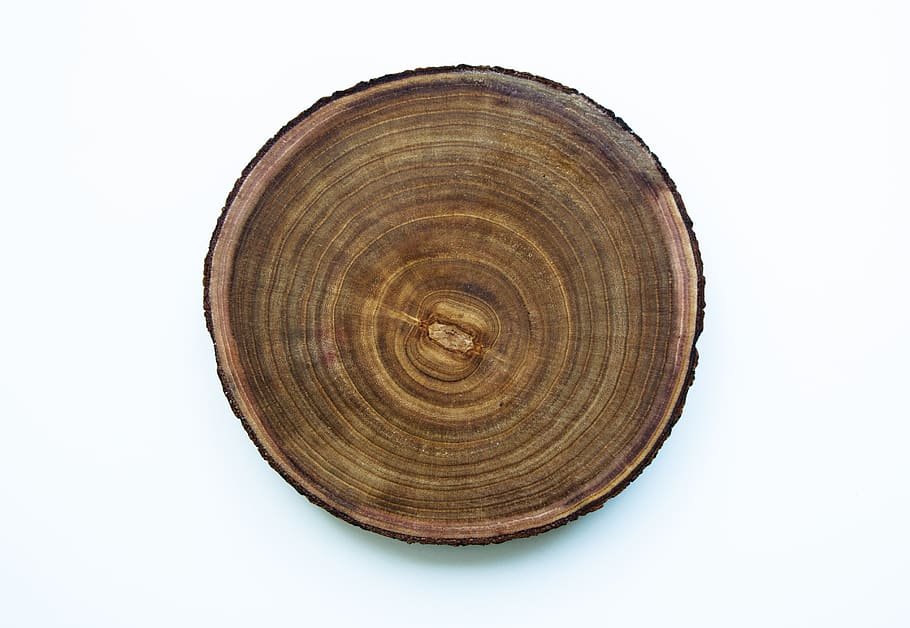 wood, wood grain, texture, grain, structure, surface, tree, nature, slice, cross section