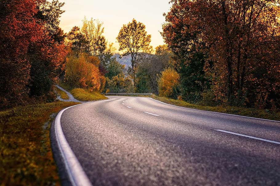 road, curve, s curve, asphalt, route, forest, away, travel, traffic, evening