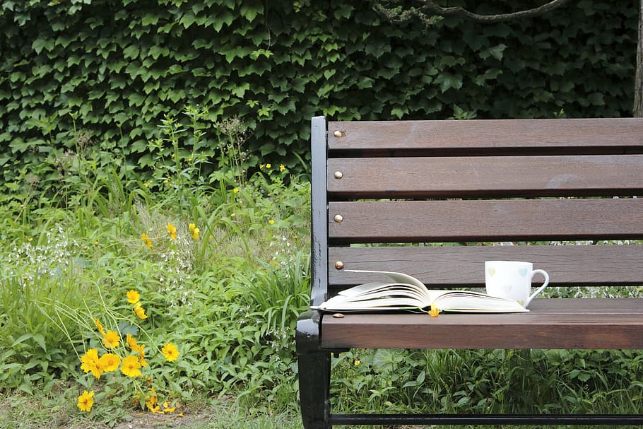 bench, pause, book, plant, growth, nature, seat, day, yellow, front or back yard