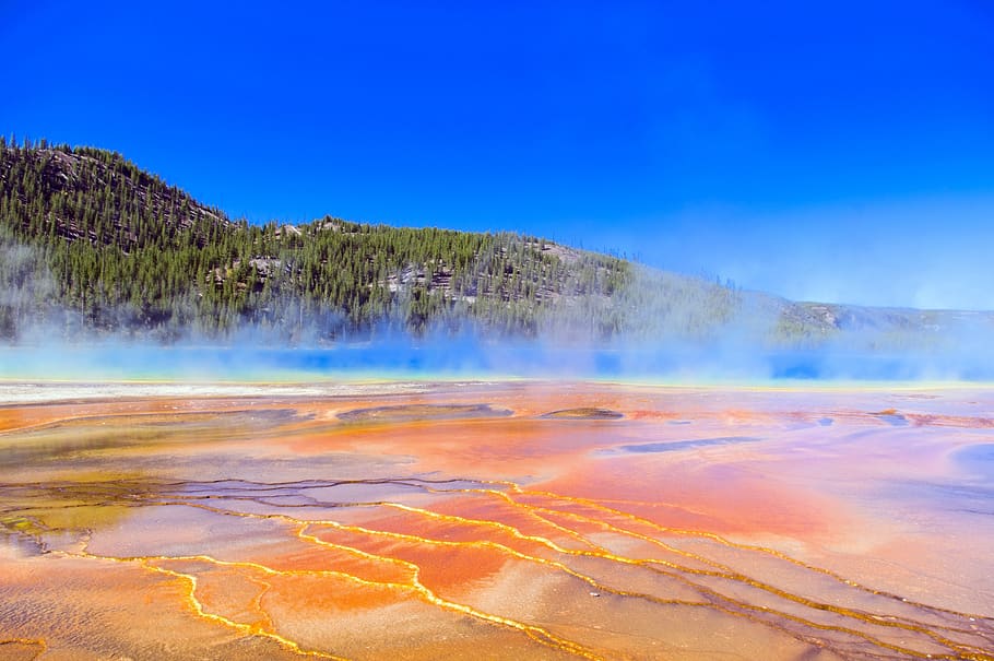 grand prismatic's bacterial color, thermal, pool, spring, geothermal, nature, wyoming, yellowstone, national, park