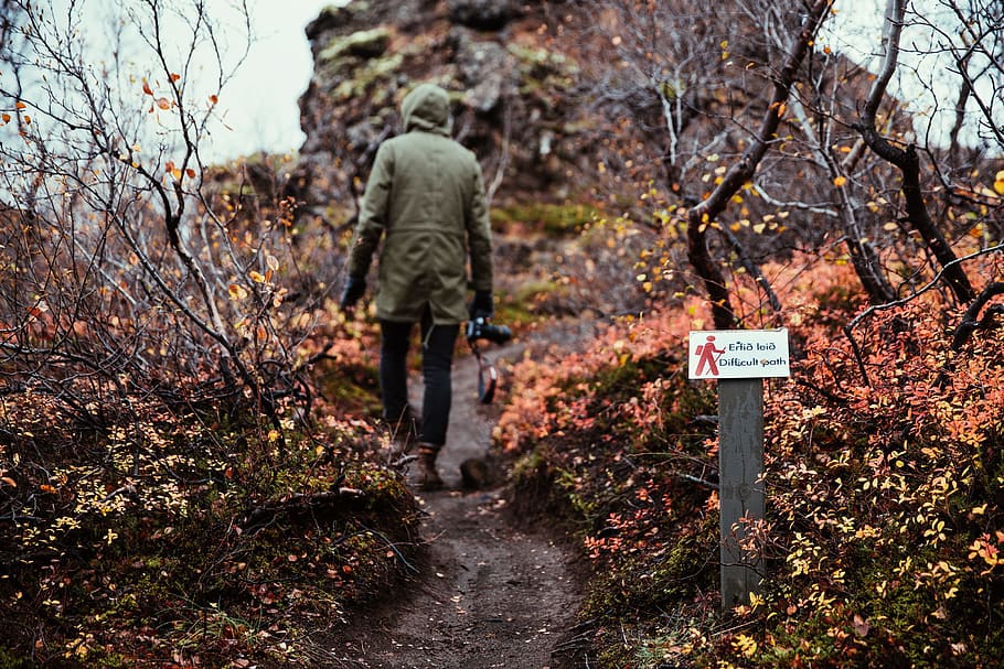 excursionista, chaqueta con capucha, transporte, cámara, senderismo, arbusto, nublado, frío, otoño, colina