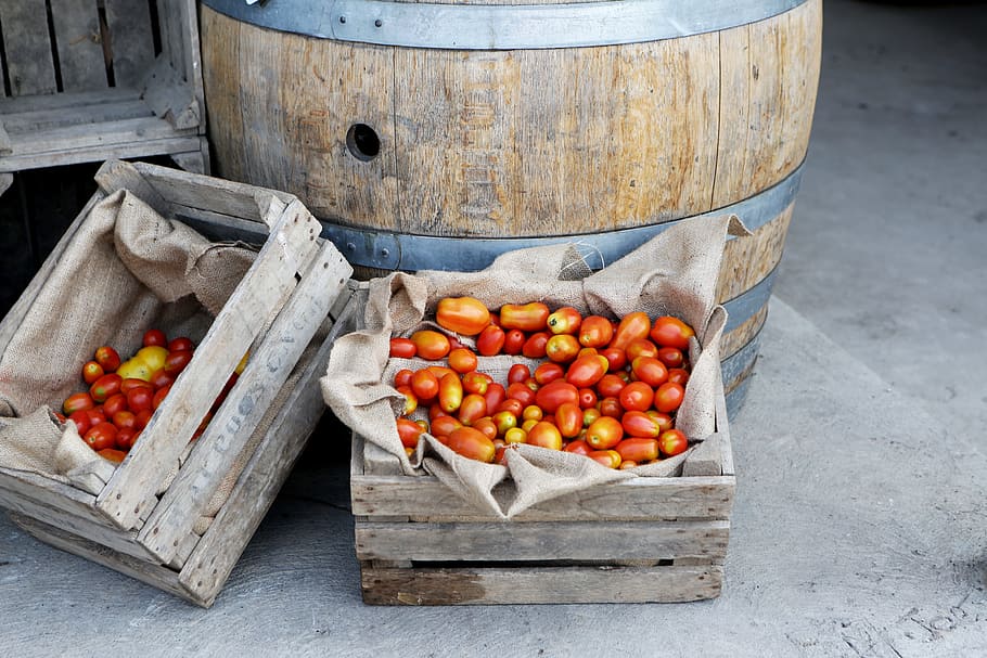 fresh tomatoes, barrel, red, tomato, tomatoes, vegetable, vegetables, wood, food and drink, food