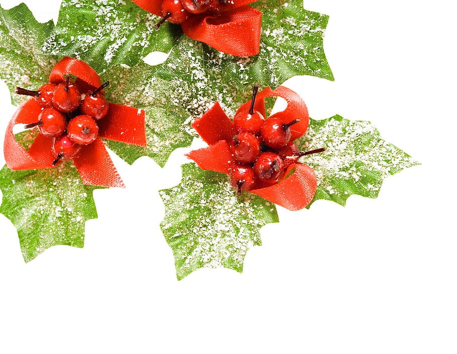 berry, christmas, decor, decoration, european, four, gift, green, holiday, holly