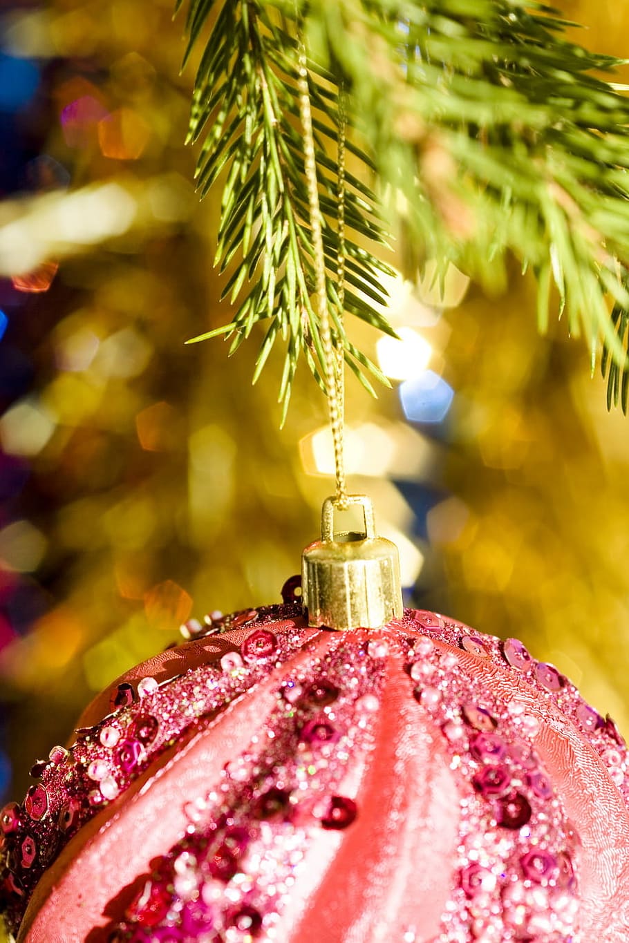 bola, perhiasan, cabang, cerah, natal, pohon natal, konifer, termasuk jenis pohon jarum, cemara, hadiah