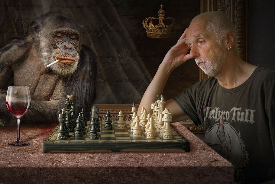composing, monkey, photomontage, fantasy picture, mood, fantasy, chess, light, chess pieces, game board