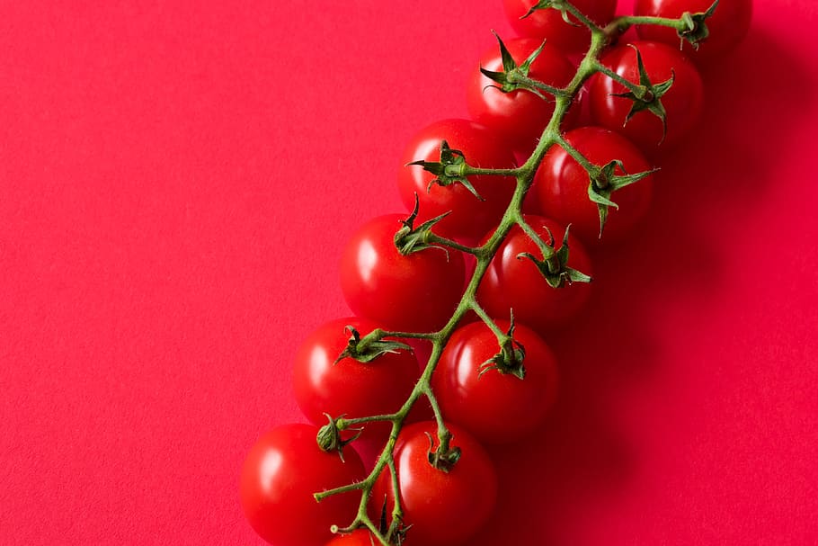 cherry, tomatoes, red, background, room, text, cherry tomatoes, flat design, food, foodie
