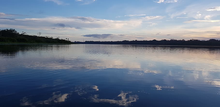 Laguna, Limoncocha, Ecuador, Amazonia, paisaje, agua, cielo, reflexión, nube - cielo, pintorescos - naturaleza