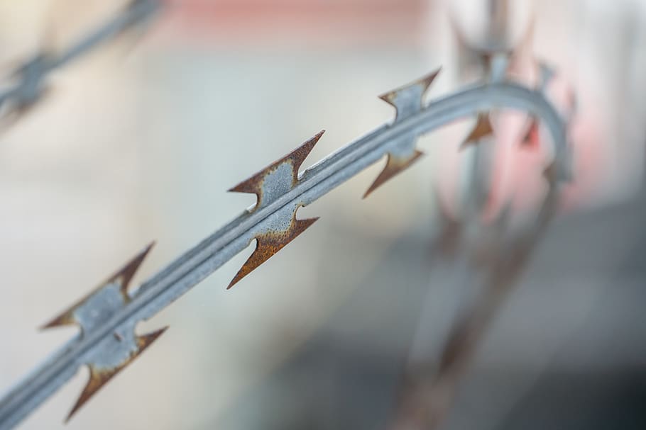 natodraht, barbed wire, fence, secure, razor wire, protection, tape barbed wire, security, wire, protect