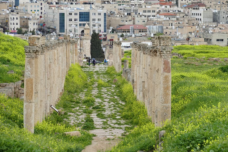 jordania, jerash, gerasa, ruina, antigüedad, pilar, arqueología, templo, decapolis, romano