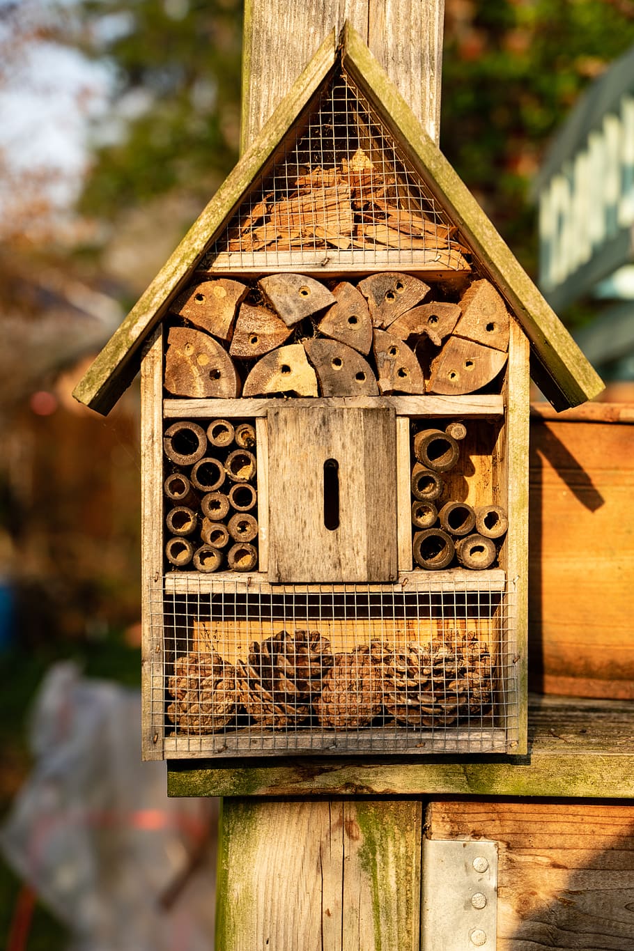 insect hotel, insect, summer, insect house, insect box, wood, nature conservation, insect protection measures, wild bees, perforated
