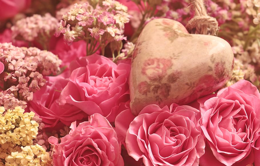 roses, heart, noble roses, romantic, pink, flower, beauty, love, mother's day, romance