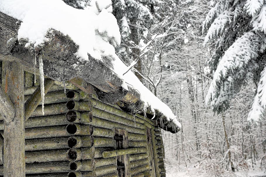 winter, nature, snow, tree, wood, old, cold, frost, travel, building