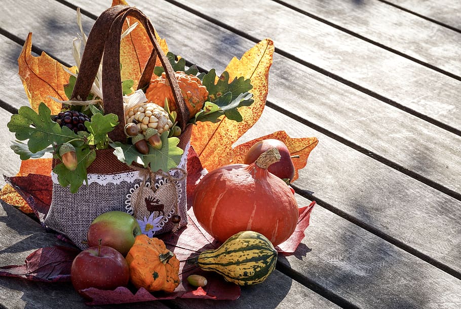 autumn, autumn decoration, thanksgiving, autumn motives, colorful, pumpkins, gourd, pumpkin, autumn vegetables, decorative