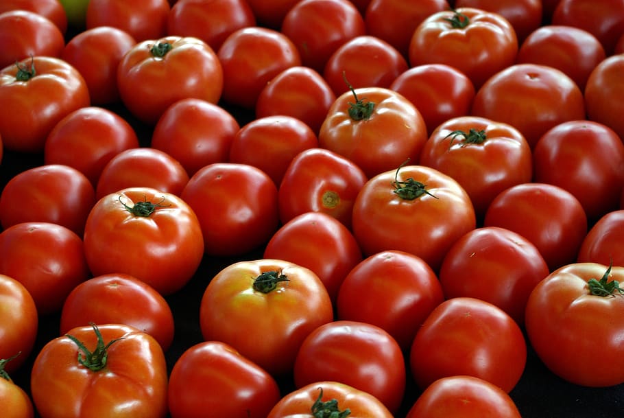 tomates do mercado agrícola, little rock, tomate, legumes, comida, colheita, mercado, fazenda, agrícola, fresco