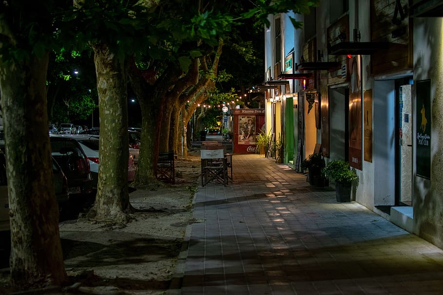 cafe, restaurant, road, colonia, uruguay, night, tree, architecture, plant, the way forward