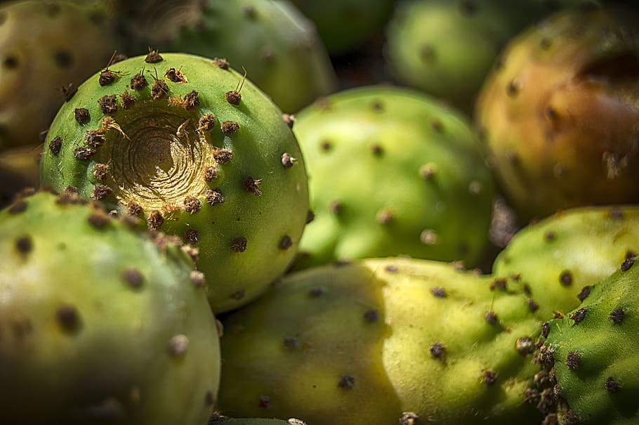 prickly pears, prickly pear, fruit, skewers, spain, food, food and drink, healthy eating, green color, wellbeing