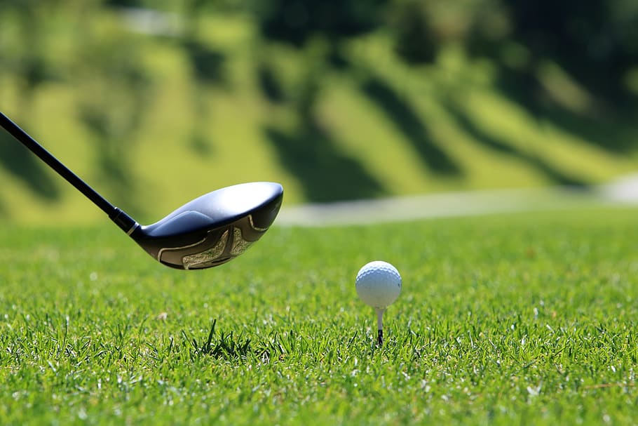 golfe, campo de golfe, grama, esporte, verde, jogadores de golfe, campo, natureza, torneio de golfe, bolas de golfe