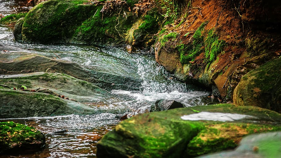 river, stream, rocks, moss, grass, brook, bubbling, water, rock, rock - object