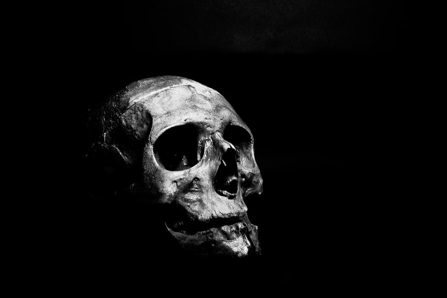 skull, human, skeleton, bone, head, death, dead, creepy, render, cranium