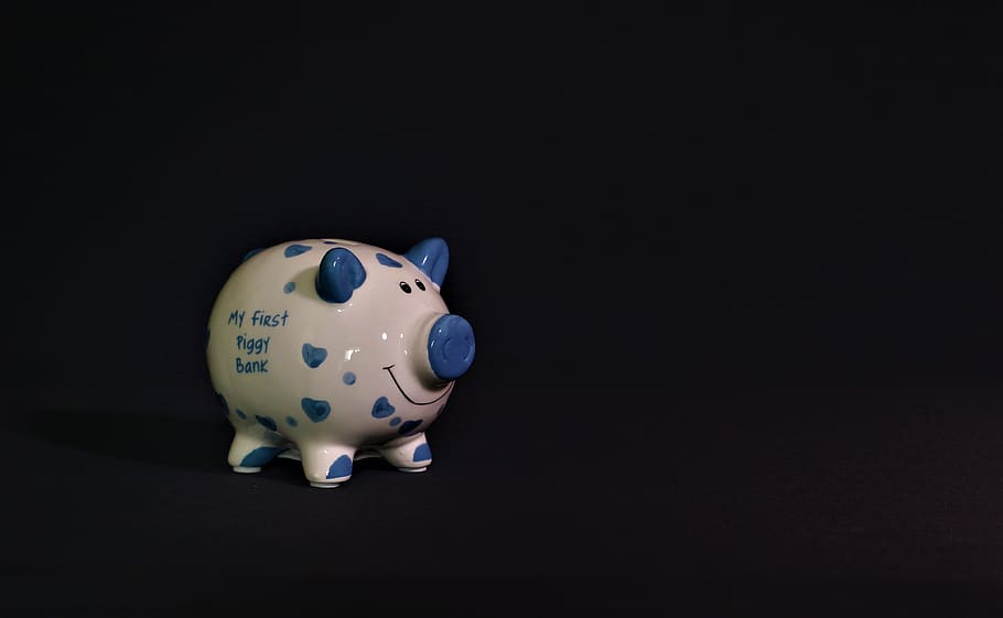 piggy bank, savings, cash, bank, pig, profit, money, chart, pay, finance