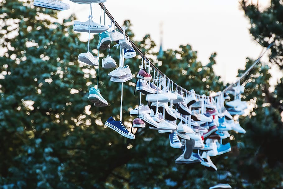 shoes, hanging, line, city park, park., prague, cze, focus on foreground, day, tree