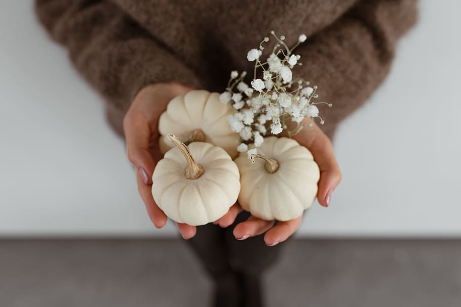 mini white pumpkins, white, food, autumn, fall, pumpkin, vegetable, halloween, mini pumpkin, baby pumpkin