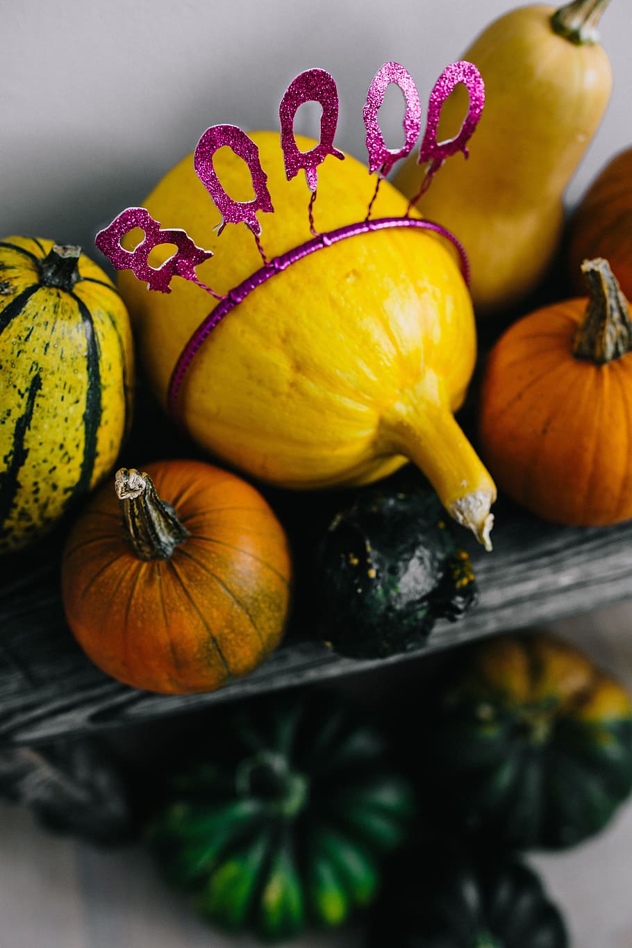 labu & halloween, sayuran, musim gugur, labu, lucu, halloween, hantu, boo, makanan, makanan dan minuman