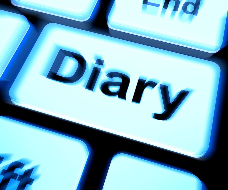 teclado de diario, que muestra, en línea, planificador, horario, cita, diario, libro de diario, internet, clave