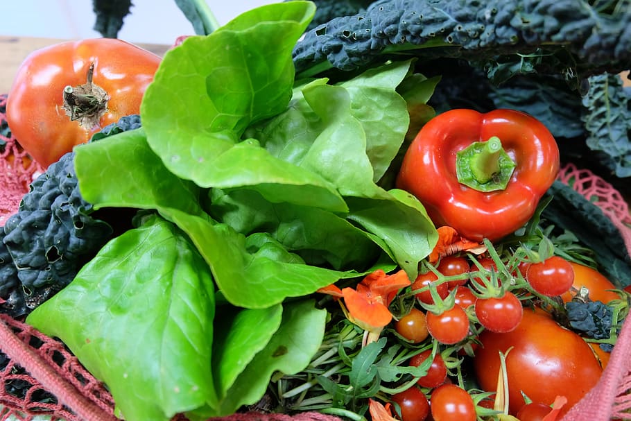 makanan, sayur, dalam kesehatan yang baik, buah, sayur-mayur, makanan dan minuman, kesegaran, makan sehat, kesejahteraan, warna hijau