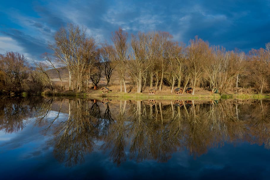 reflection, lakeside, fishing, nature, water surface, water, tree, sky, plant, lake