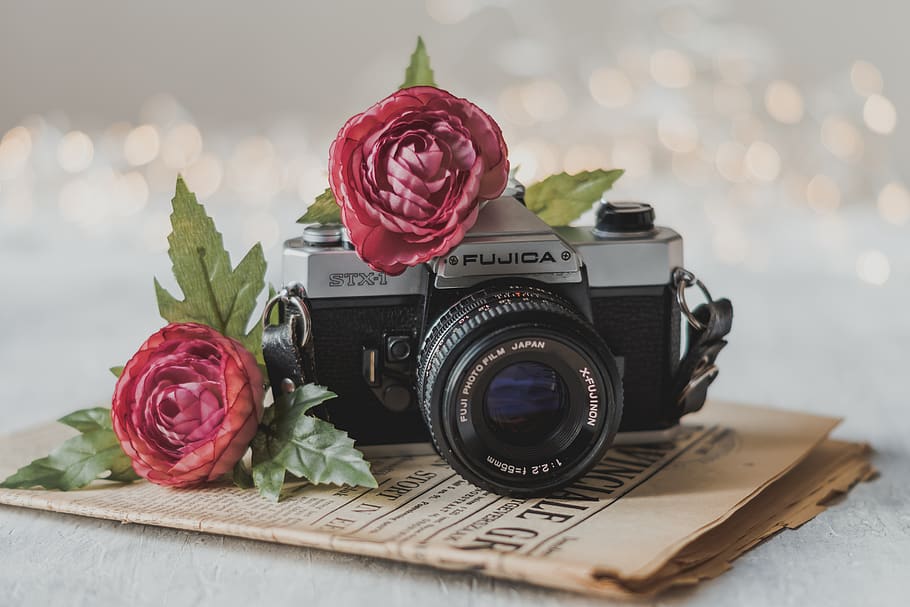 camera, vintage, photography, retro, old, antique, old newspaper, flowers, rose, bokeh