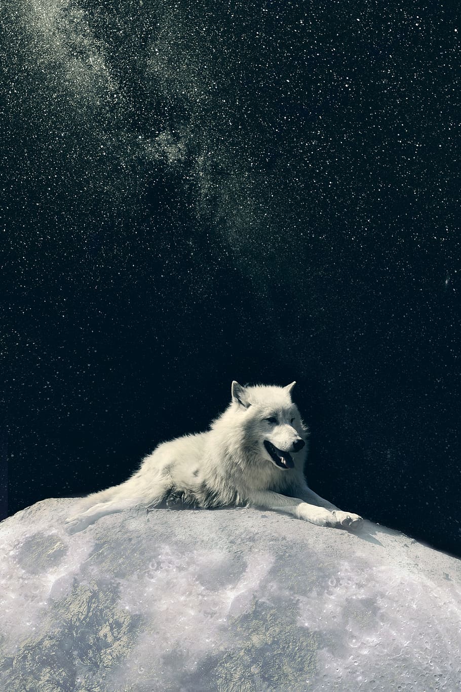 Royalty Free Moon Wolf Photos Free Download Pxfuel