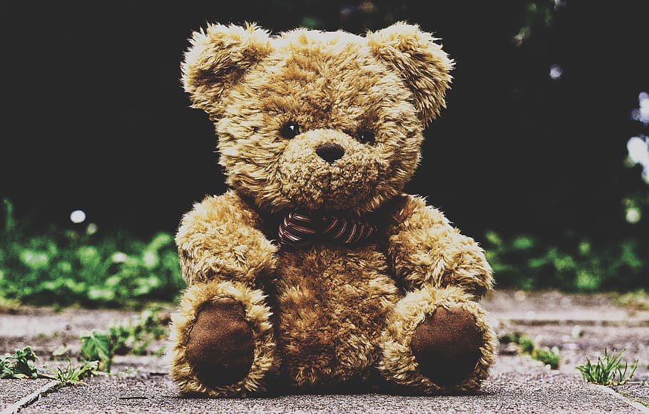 teddy bear, stuffed animal, teddy, furry teddy bear, children toys, cute, bears, plush, toys, toy
