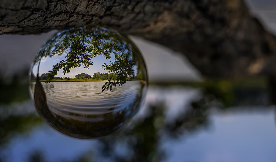 nature, landscape, glass ball, photography, lake, twisted, summer, wallpaper, screen background, forest