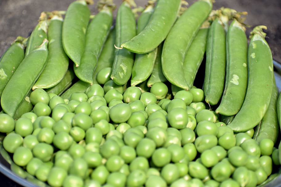 peas, green, vegetable, food, healthy, organic, vegetarian, beans, different, diet