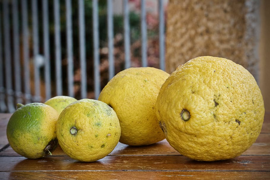 lemon, citrus fruits, bio, sano, cool, fruit, acid, yellow, natural, lemonade