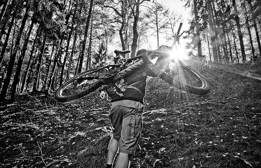 mountain bike, uphill, hill, hike, sport, mountains, backlighting, black and white, adventure, tree