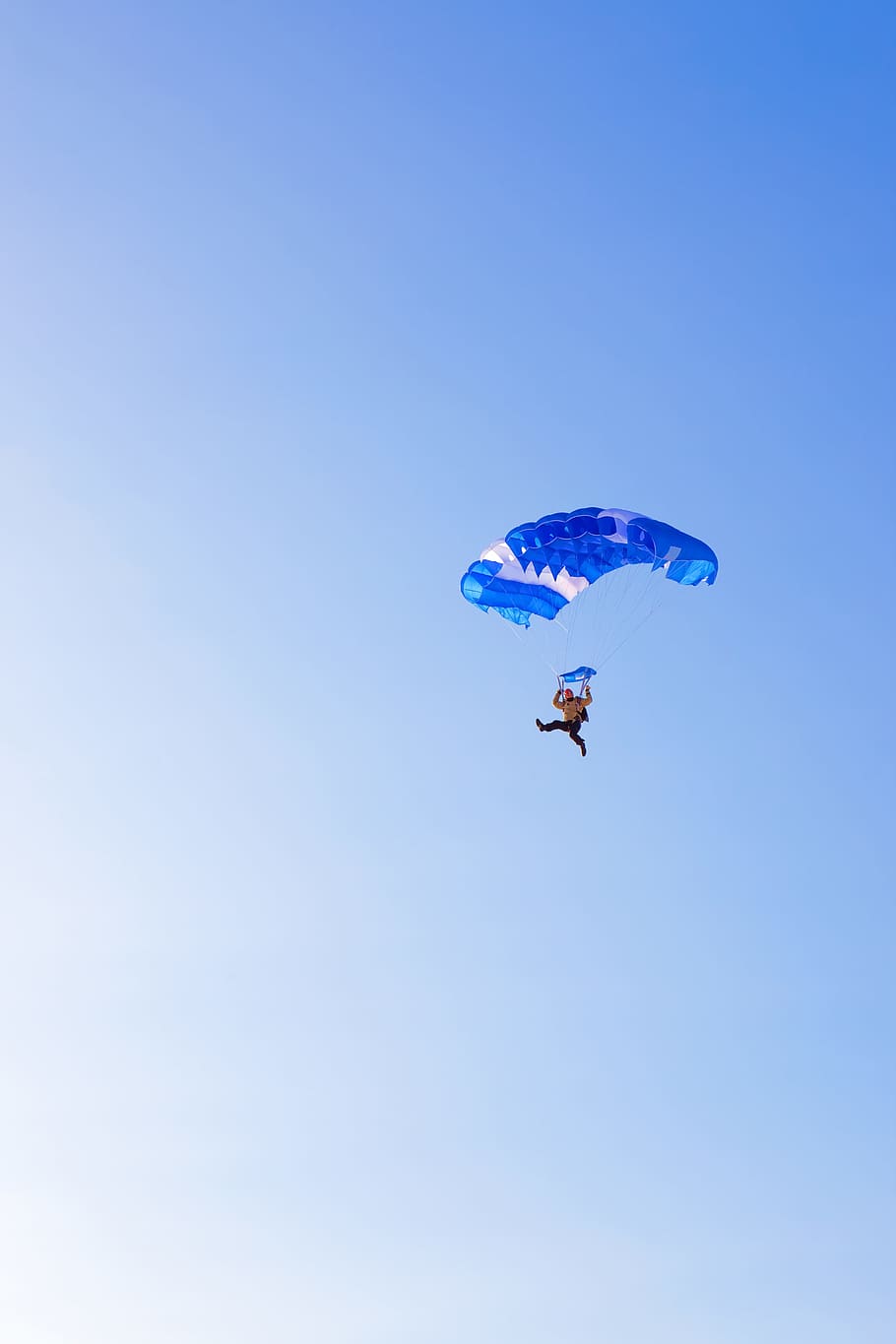 azul, mergulho, extremo, caindo, voar, panfleto, salto, homens, pára-quedas, paraquedista