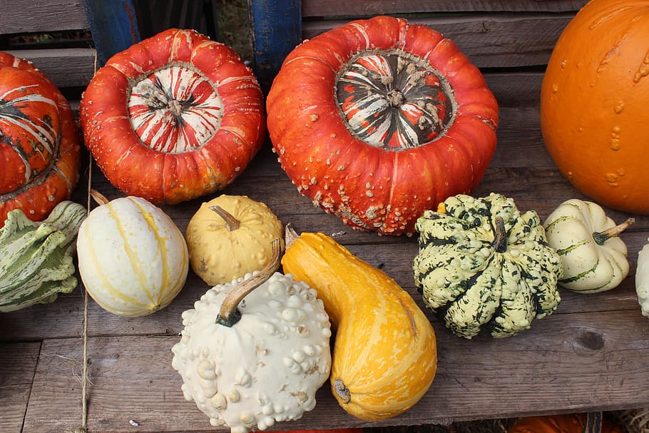 calabazas, halloween, otoño, colorido, decoración, comida y bebida, comida, calabaza, verdura, alimentación saludable