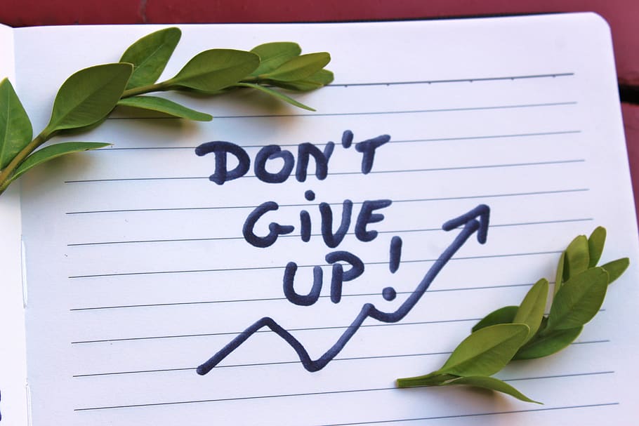 don't give up, motivation, the inscription, handbook, notes, boxwood, mirta, notebook, diary, cover letter