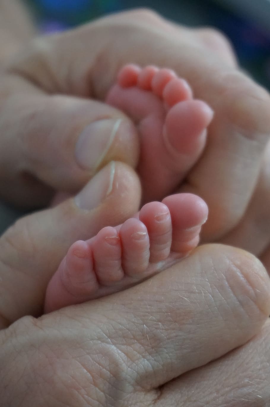 kinder, baby, baby feet, newborn, toes, baby toes, father, hands, human body part, body part