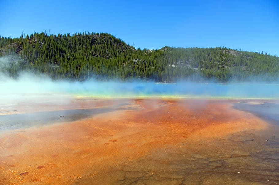 vapors above grand prismatic spring, spring, prismatic, color, yellowstone, national, park, wyoming, spectrum, thermal