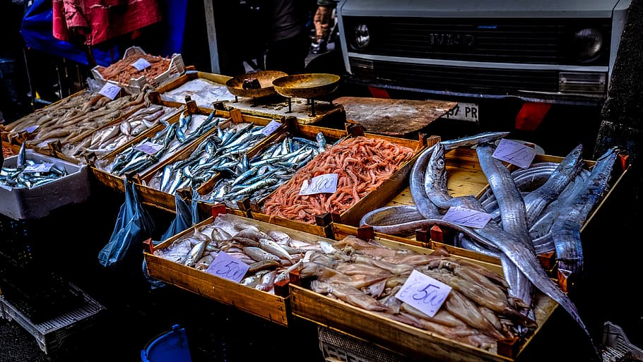 pasar ikan, ikan, segar, pasar, makanan laut, untuk dijual, makanan dan minuman, makanan, kios pasar, ritel