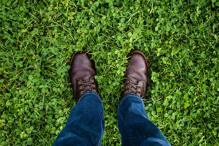 hijau, rumput, jeans, denim, kulit, sepatu, travel, bagian rendah, kaki manusia, satu orang